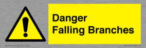 Danger Falling Branches
